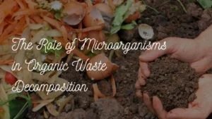 Read more about the article The Role of Microorganisms in Organic Waste Decomposition