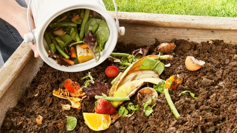 Start Composting Your Kitchen Waste