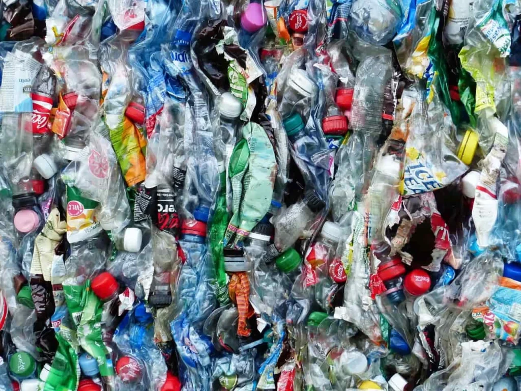 Say Goodbye to Single-Use Plastics