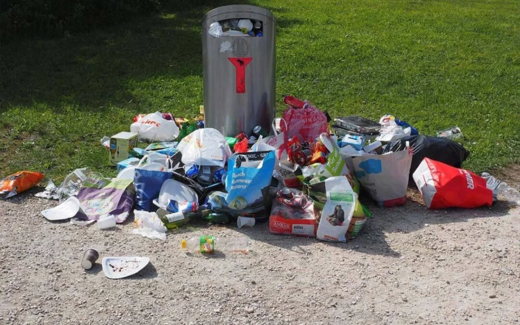 Review Your Household Waste Every Month
