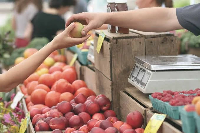 Support Local and Sustainable Businesses